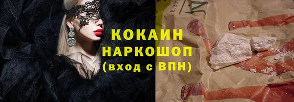 шишки Краснотурьинск