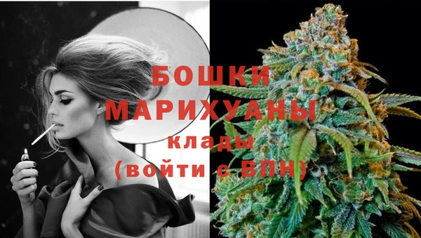 шишки Краснотурьинск