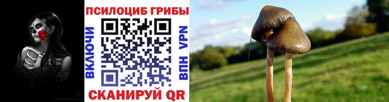 Купить закладки  Тавда  Галлюциногенные грибы Psilocybine cubensis 