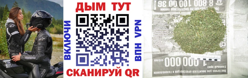 Канабис MAZAR Тавда